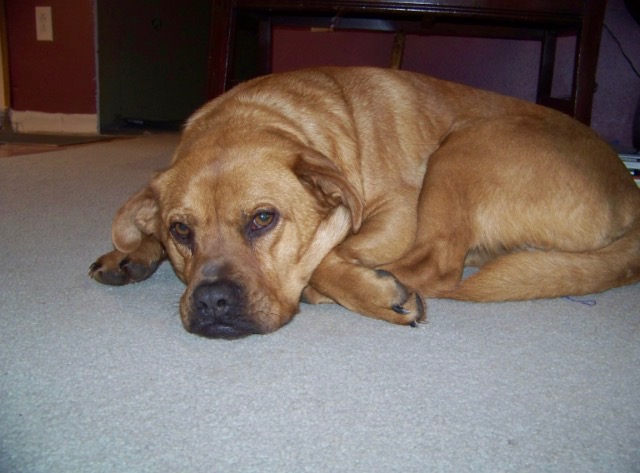 1A4A9981-8AE8-47D9-99C2-2E23B6E9D4FA