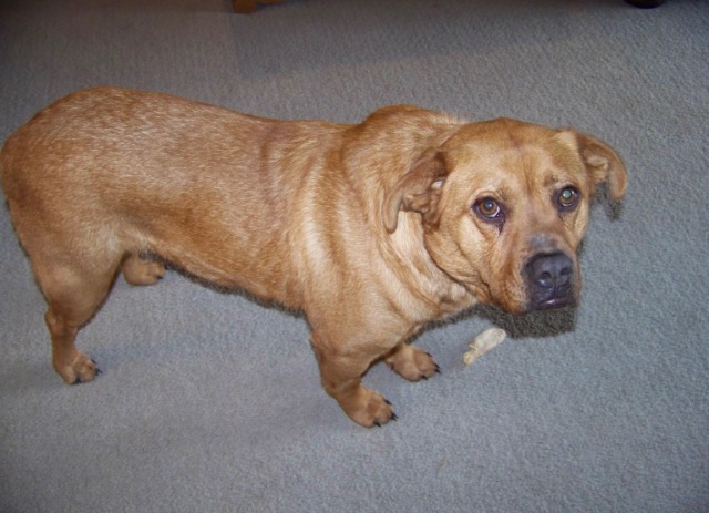 2D1C994F-3B52-42C9-AF7D-F02ACEDF3142