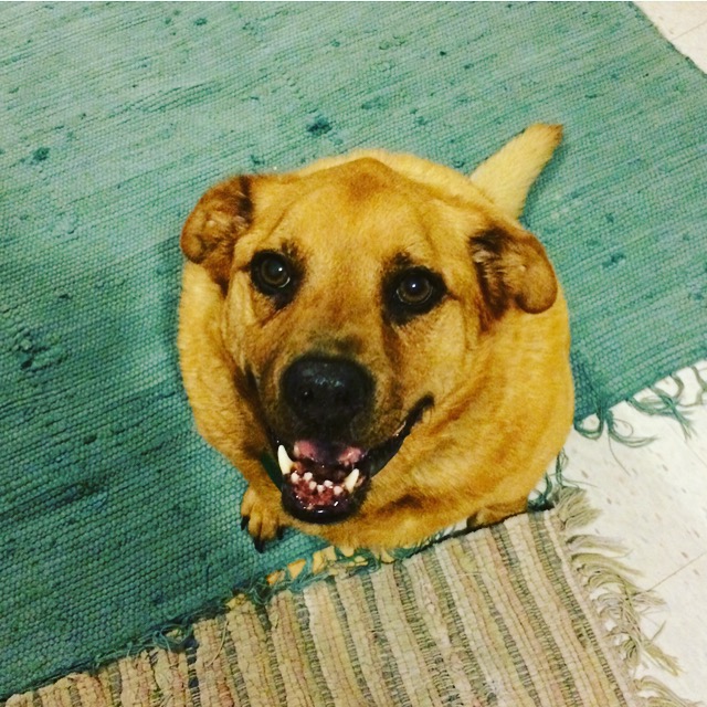 7E9541CE-762E-4352-9576-0C3E6B30DCFC