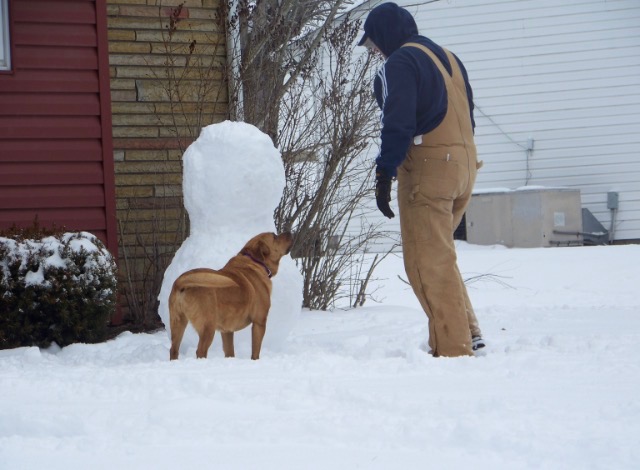 96D77036-2FA9-43E9-BF12-F74E07A5B119