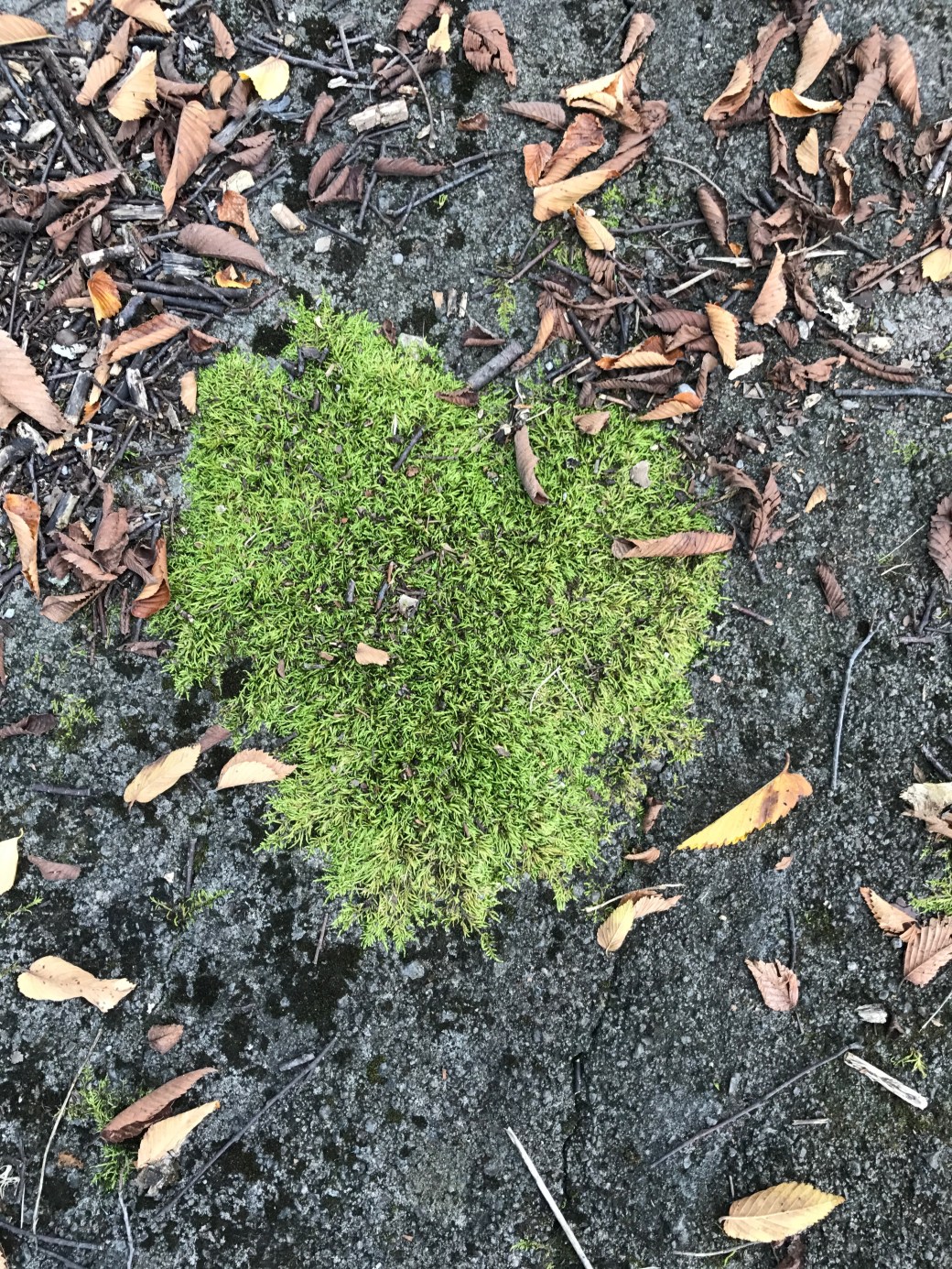 A8FB9D71-48F3-4DFA-B22D-7AE86CCE7778