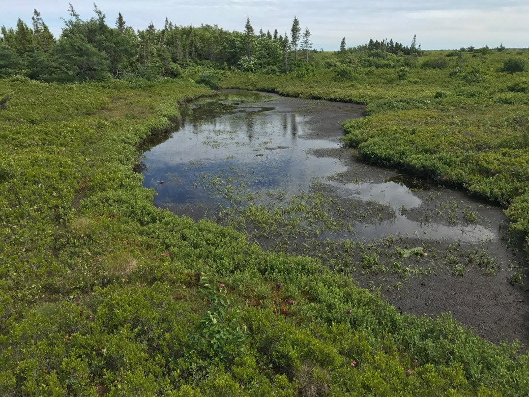 F49C2AD3-2C43-41E9-AA9A-3166A8EA1FFD