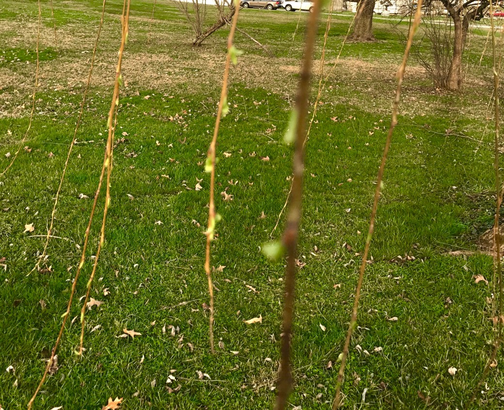 f904d2ed-98f4-4938-ba5d-751c3aaddb7d