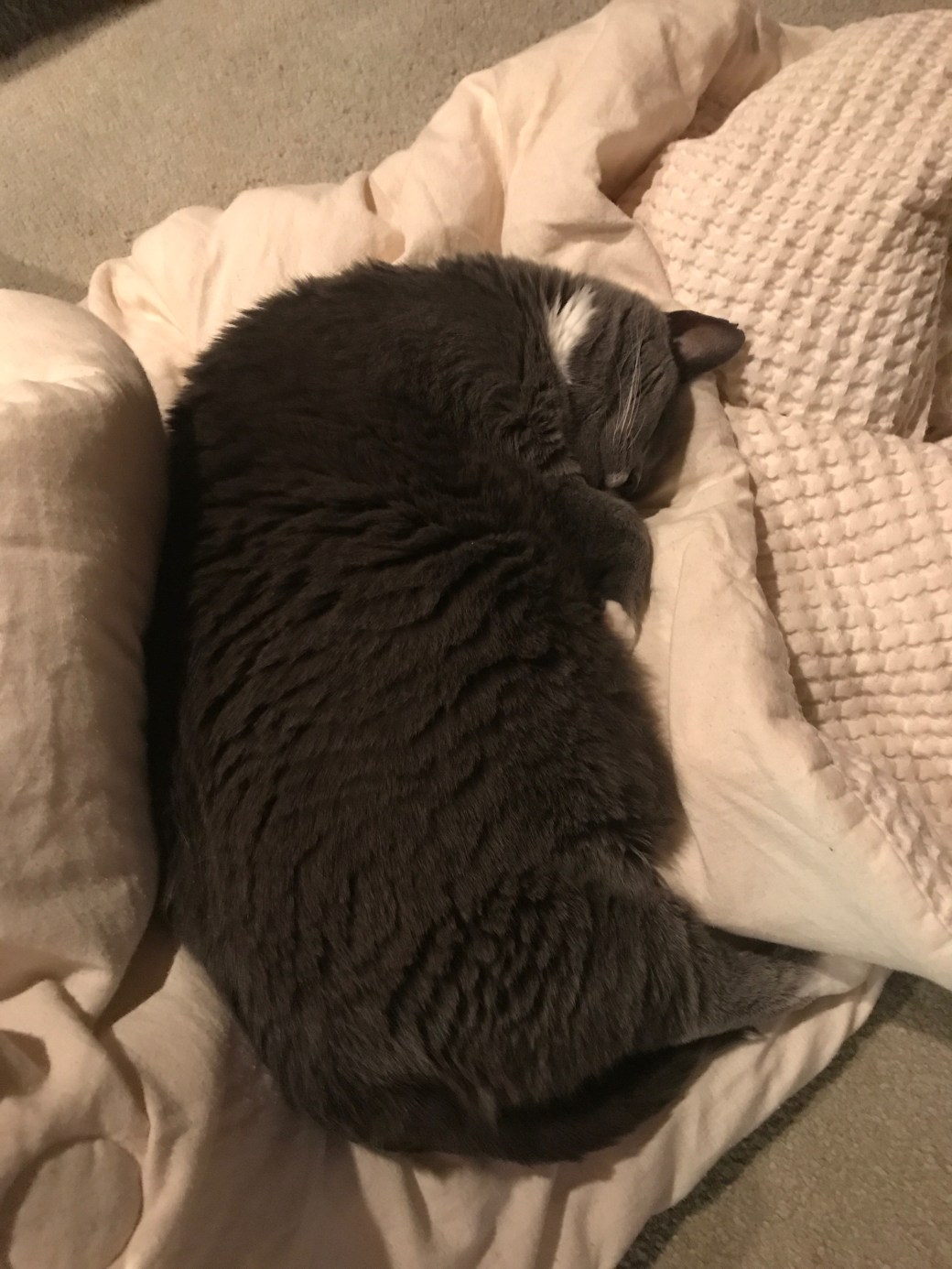 2441763d-9ce3-4f7a-9d87-80a16eb83e6f