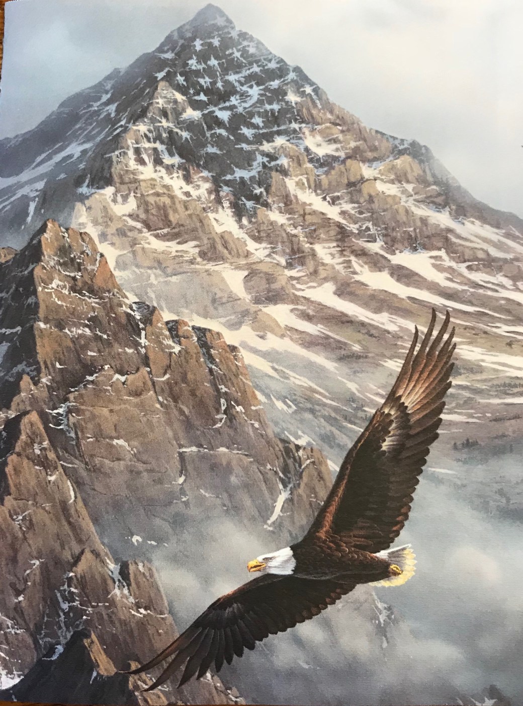 24f7a54d-fc90-4482-9ccf-9107db1a33c5