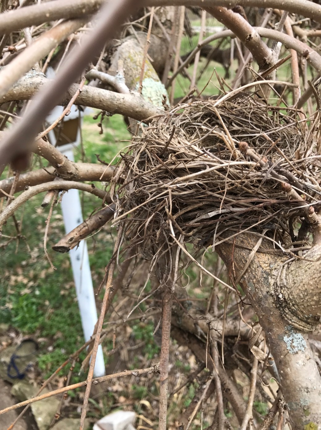 40031348-fce0-4468-b854-96649b678a58