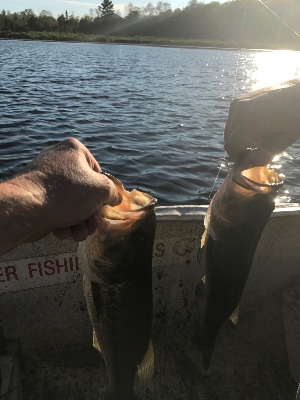 06296a80-5111-4a78-b0ce-f49609517eba