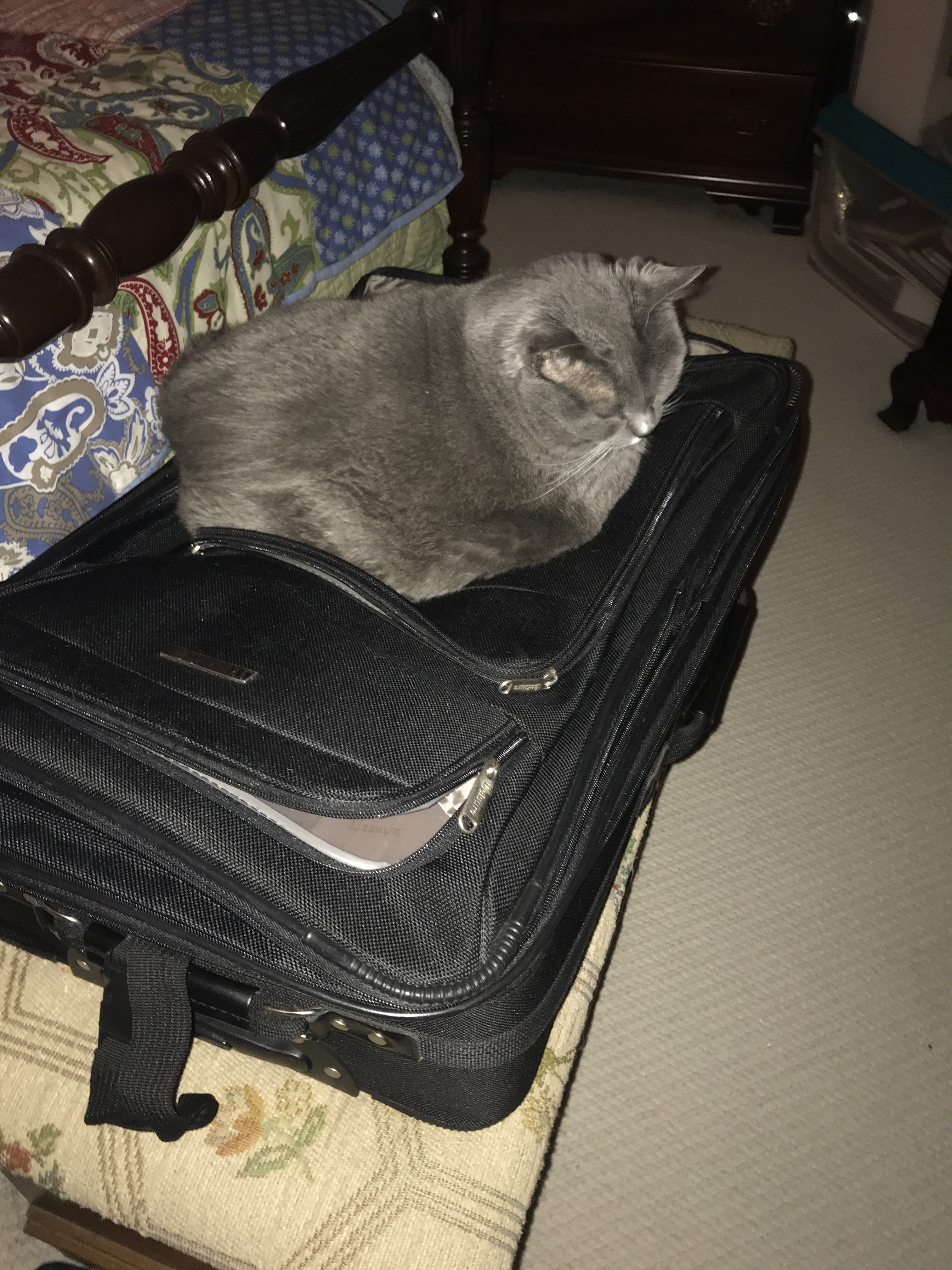 57715813275__9bfb7507-d371-410e-a78a-dfcbc015b1d7