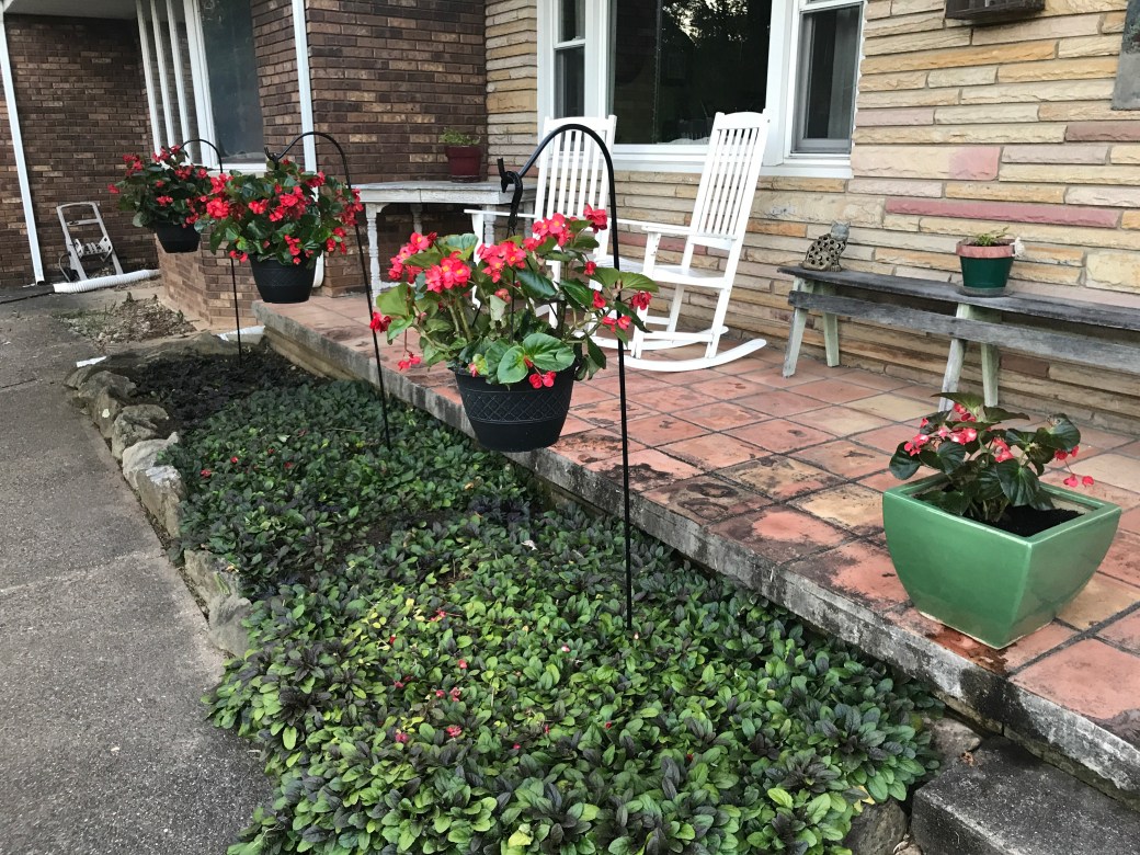 58475702058__637c23fe-ddf8-41f0-b12a-f28aeb4fcaeb