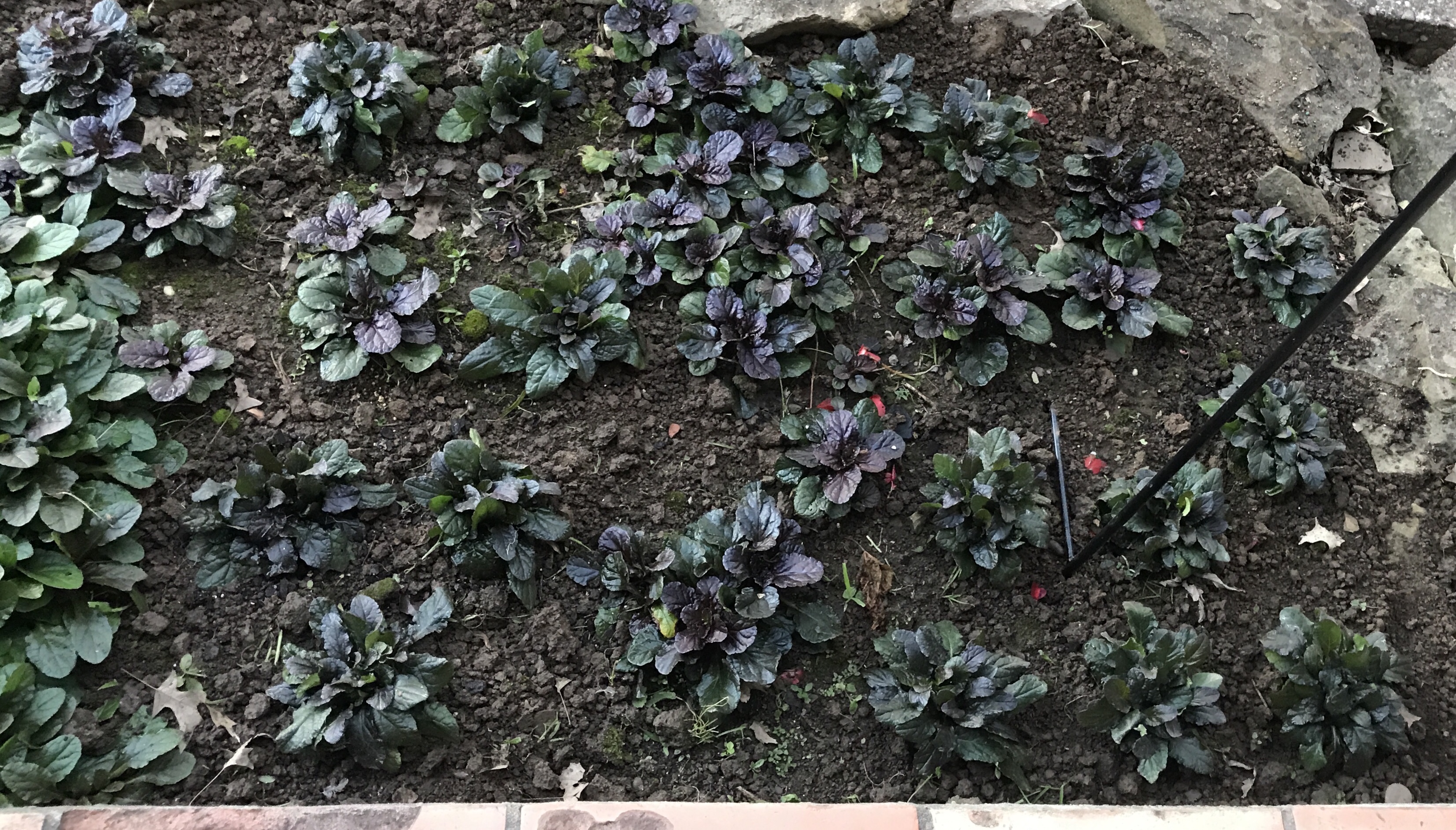 58475707442__54a23736-e8d1-4a04-b99b-065b71a24d7a