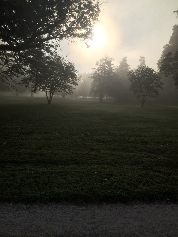 The cricket's song is a reminder that change is coming.  Goodbye warm summer days. Hello frosty autumn starts.  Soon we all will rest.
