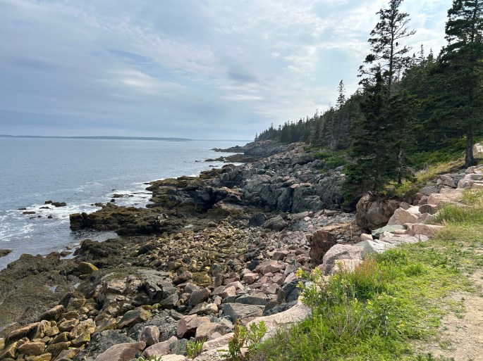 Rocky coastline of Acadia National Park with trees and calm sea under a cloudy sky.