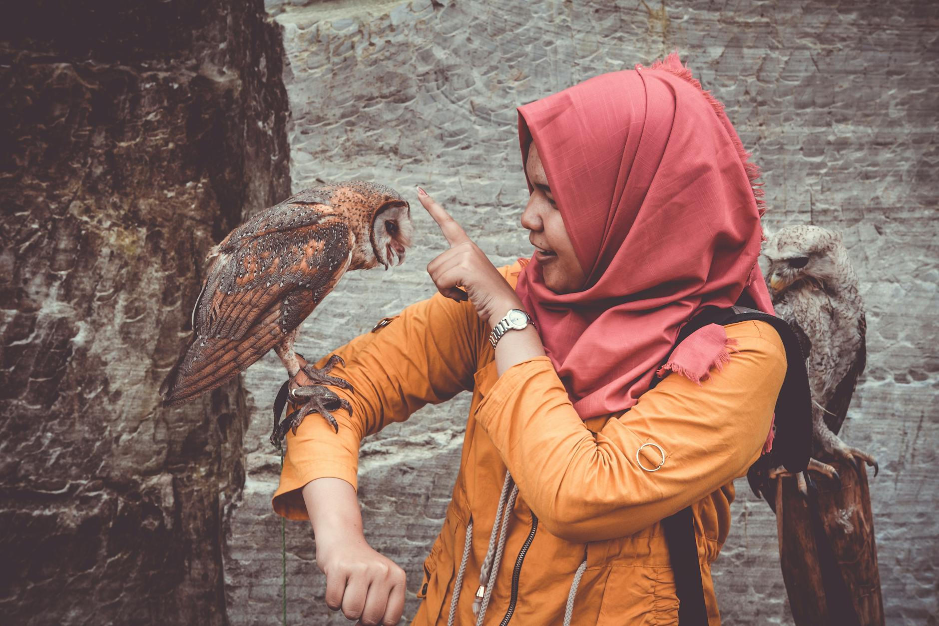 A woman in a pink hijab interacts playfully with a barn owl perched on her arm, pointing towards its face, with another owl visible in the background.