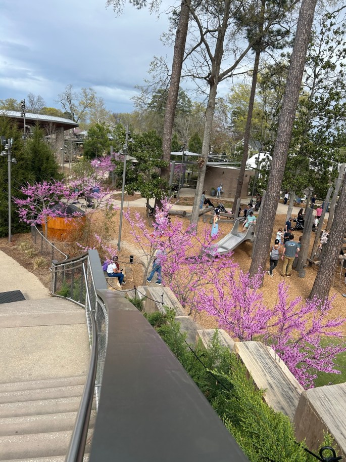 A vibrant park scene with blooming pink trees, pathways, and visitors enjoying the outdoor space. There are playground structures and people engaging in various activities amidst the greenery.